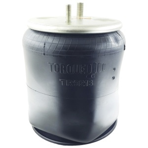 TR9213 | Air Spring for Navistar Trucks