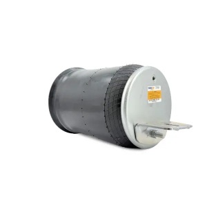 TR9865 | Air Spring, W01-358-9865 67043002 23563385
